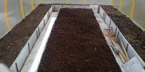 Kako dezinfikovati tlo u stakleniku u jesen